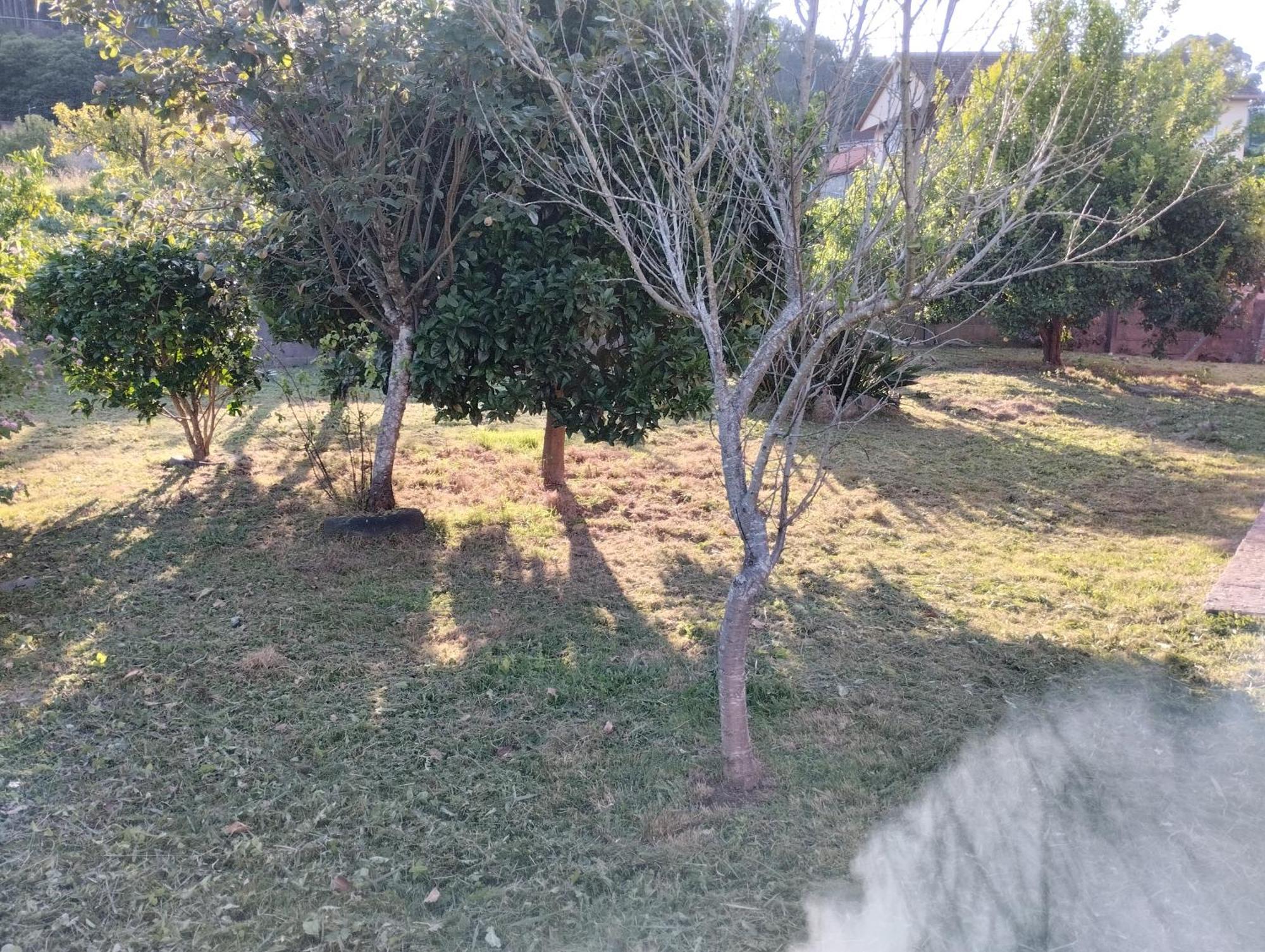 Casa De Valeria Villa Tomino ภายนอก รูปภาพ